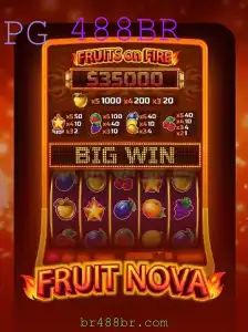 FruitNova: Um Mergulho no Dinâmico Mundo de 488BR