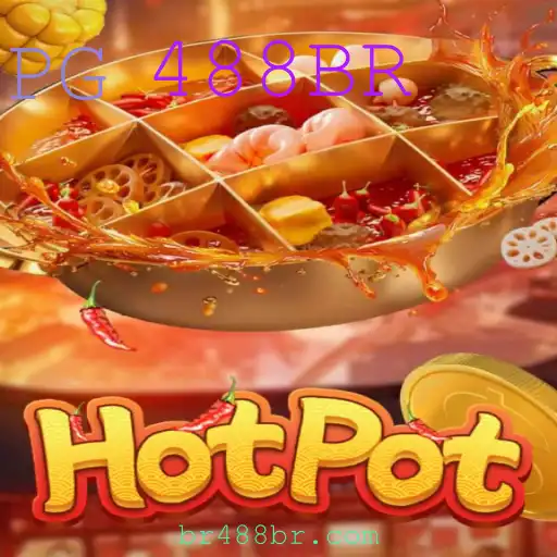 Descobrindo o Mundo de Hotpot e a Chave 488BR